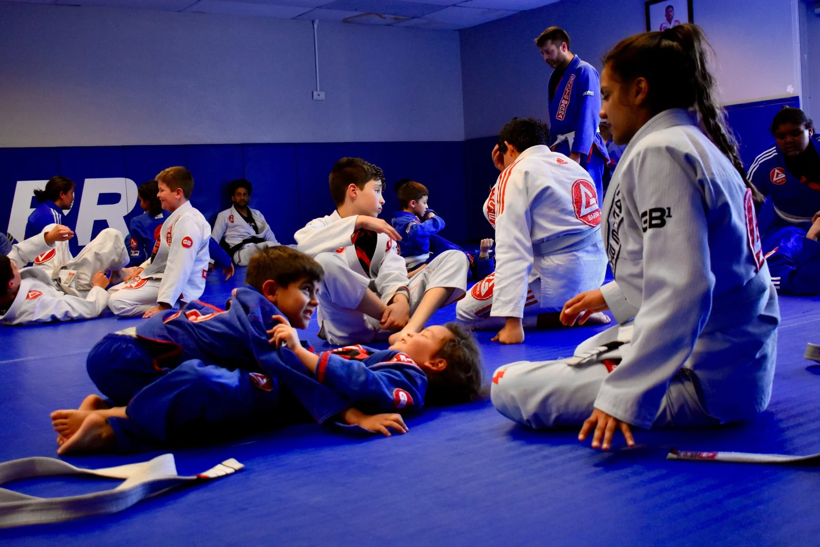 BJJ Training